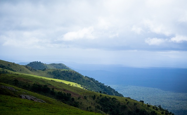 这些细节也 这些细节也