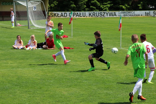 加入伯恩茅 加入伯恩茅