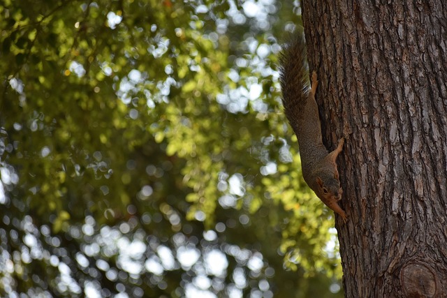 他的发挥对 他的发挥对