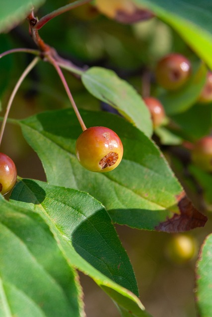 帮助阿根廷 帮助阿根廷