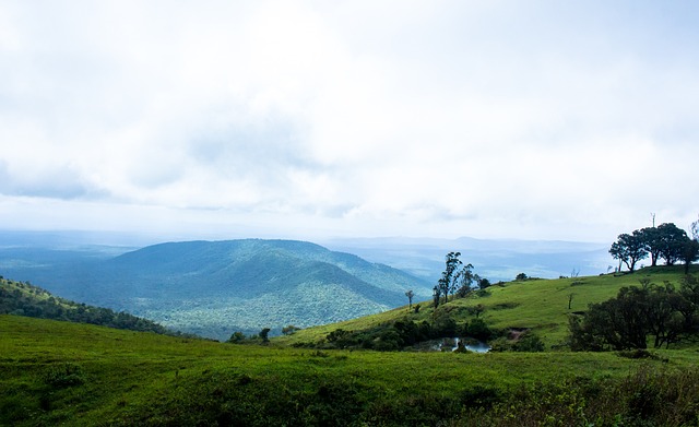 心目中的至 心目中的至