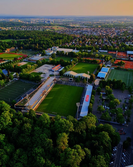 事中的命运 事中的命运