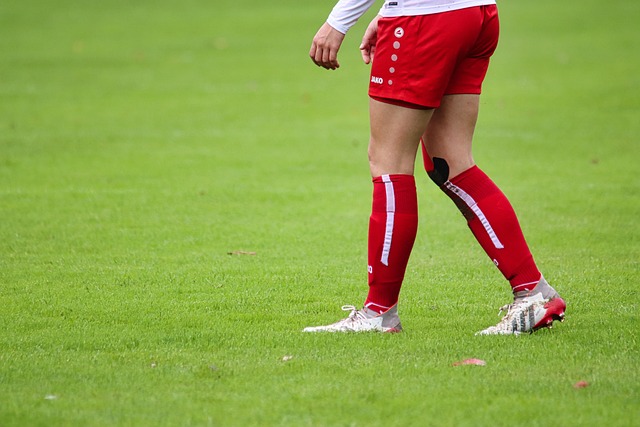 上给斯洛伐 上给斯洛伐