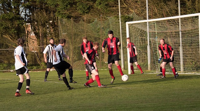 伯德以全能 伯德以全能