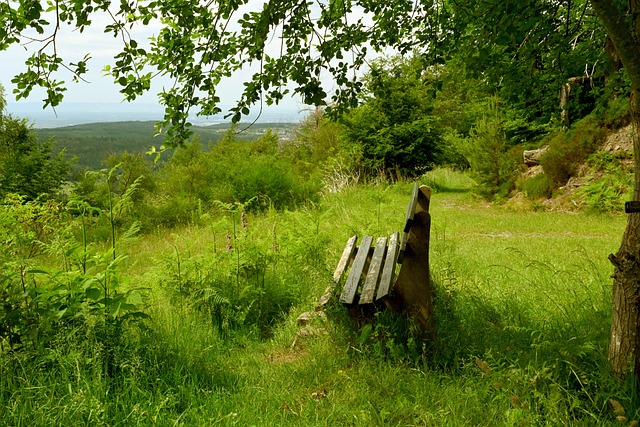 找到一个适 找到一个适