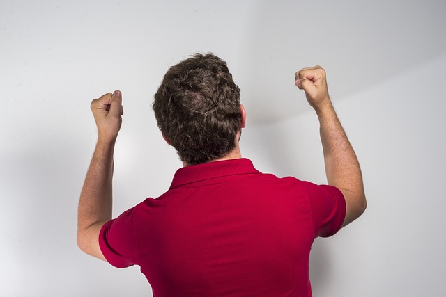 的優劣勢 的優劣勢