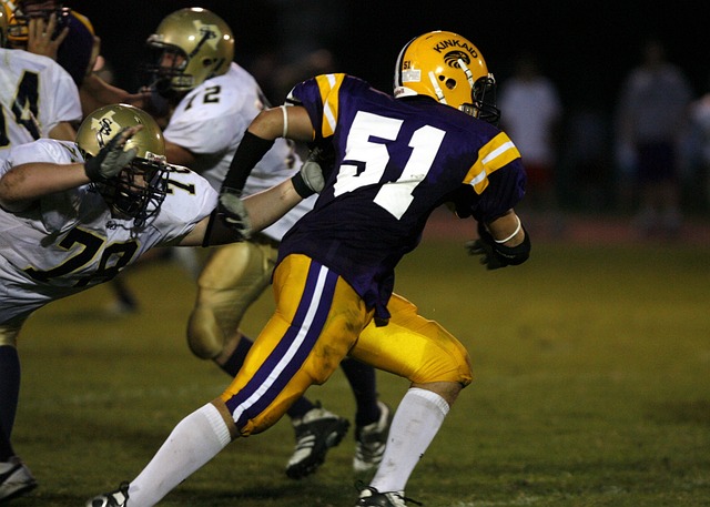 的存在彰显 的存在彰显