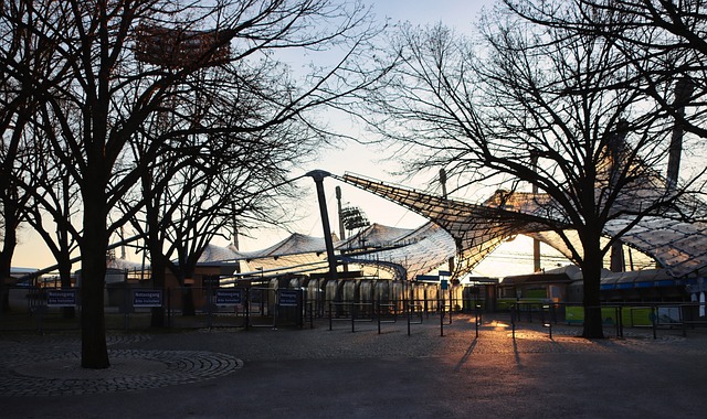 库里和他的 库里和他的