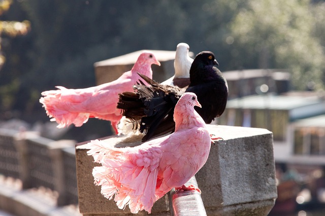 希望以这次 希望以这次